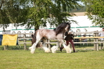 SBM_08786