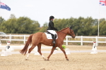 SBM_000955