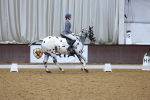SBM_001447