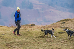 Loughrigg-279
