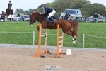 Cls 2 Snr Foxhunter portfolio