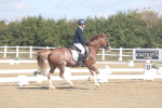 SBM_001557