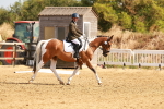 SBM_000384