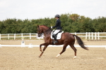 SBM_003830