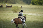 BVHT 140517  IXC -433