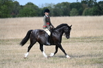 WJ7_7620