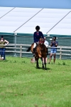 SBM_03784