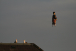 Bristol Balloon Fiesta _BBF009