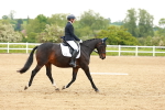 SBM_005503