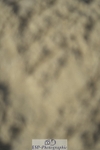 230909-101306-04803