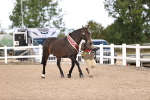 SBM_10404