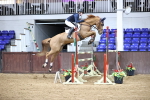 SBM_002234