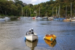 Harbour Reflections