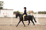 SBM_04203