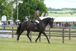 SBM_12914