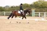 SBM_01691