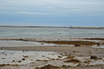 Svartnes harbour, Varanger peninsula, Troms og Finnmark, Norway