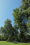 IMGL7772_2