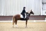 SBM_000210