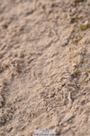 231015A-134320-08409