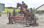 JAC_1188