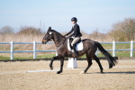 SBM_003321