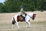 WJ7_7567
