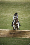 BVHT 140517  IXC -449