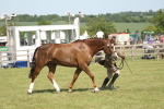 SBM_09245