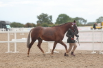 SBM_07853