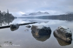 Cold Solitude