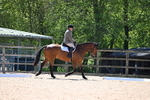 WJ6_0905