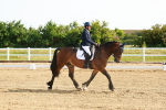 SBM_007028