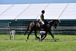 SBM_18156