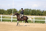 SBM_001199