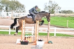 Cls 21 1.10m Amateur Qualifier portfolio