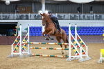 SBM_001713