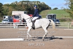 BPP_8378