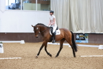 SBM_011833
