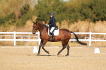 SBM_016661