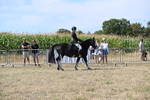 WJ6_8217