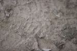 SBM_003498