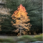 IMG_1120 v4