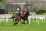 240126-Race 3-Donnacha-6400