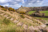 Corfe Castle Steps