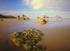 Istock #18952467