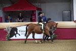 SBM_09394