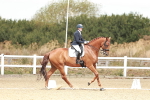 SBM_009415