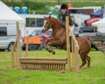 Dunblane show-103