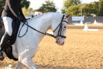 SBM_52969